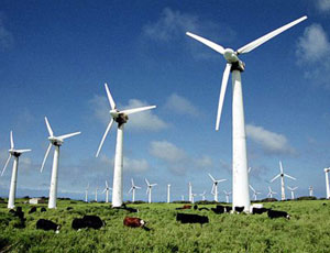 Ветряки на севере Крыма помогли бы энергетике полуострова