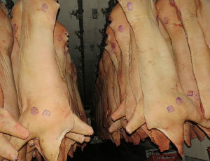 В Севастополе ограничат торговлю свининой из-за африканской чумы