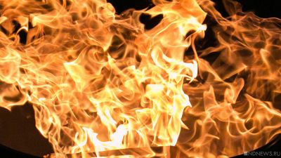 В Братском районе введен режим ЧС из-за пожаров в садоводствах