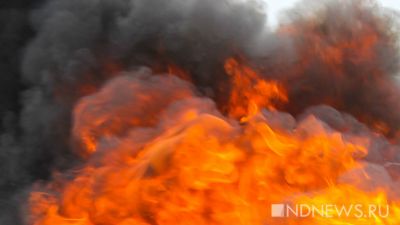 При пожаре на химзаводе в Иране пострадали девять человек