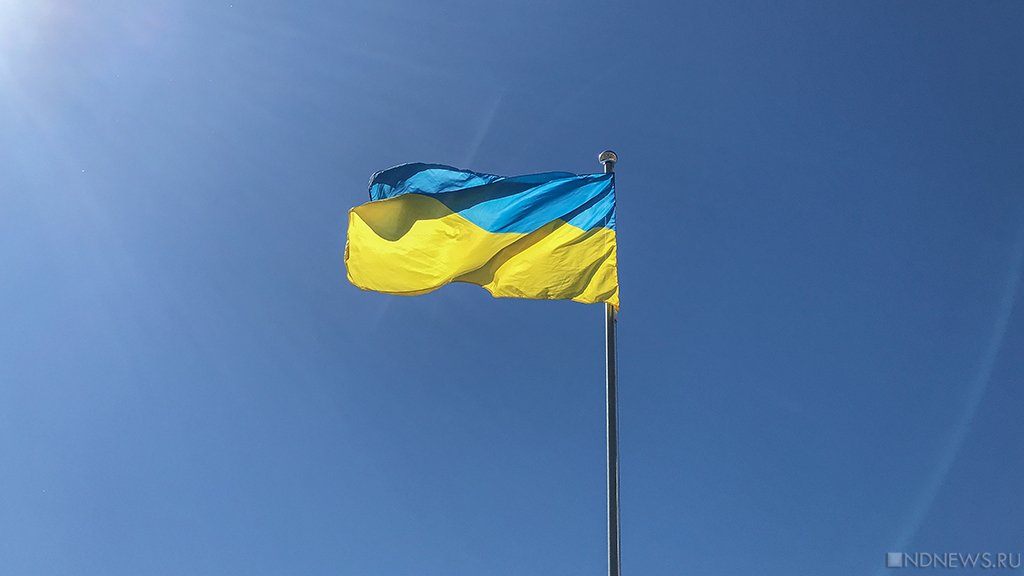 «Политика саботажа и гипотетическая глупость» – МИД РФ оценил заявления Киева по Донбассу