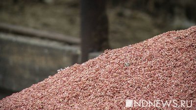 На Украине не могут посчитать количество застрявшего в стране зерна