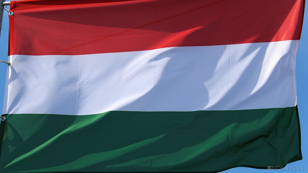Венгрия отказалась выдавать Киеву украинских беженцев-уклонистов