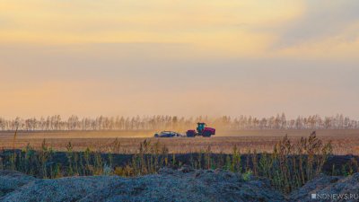 На Урале засеяно уже больше половины площадей под зерновые