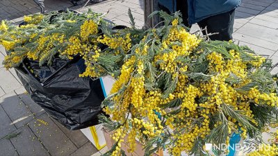 В Екатеринбурге открылась цветочная ярмарка на колесах (ФОТО, ВИДЕО)