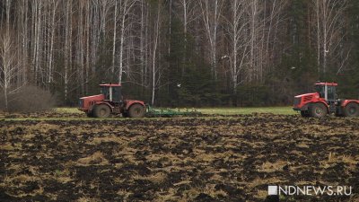 На Урале до жары успели посеять 85% яровых